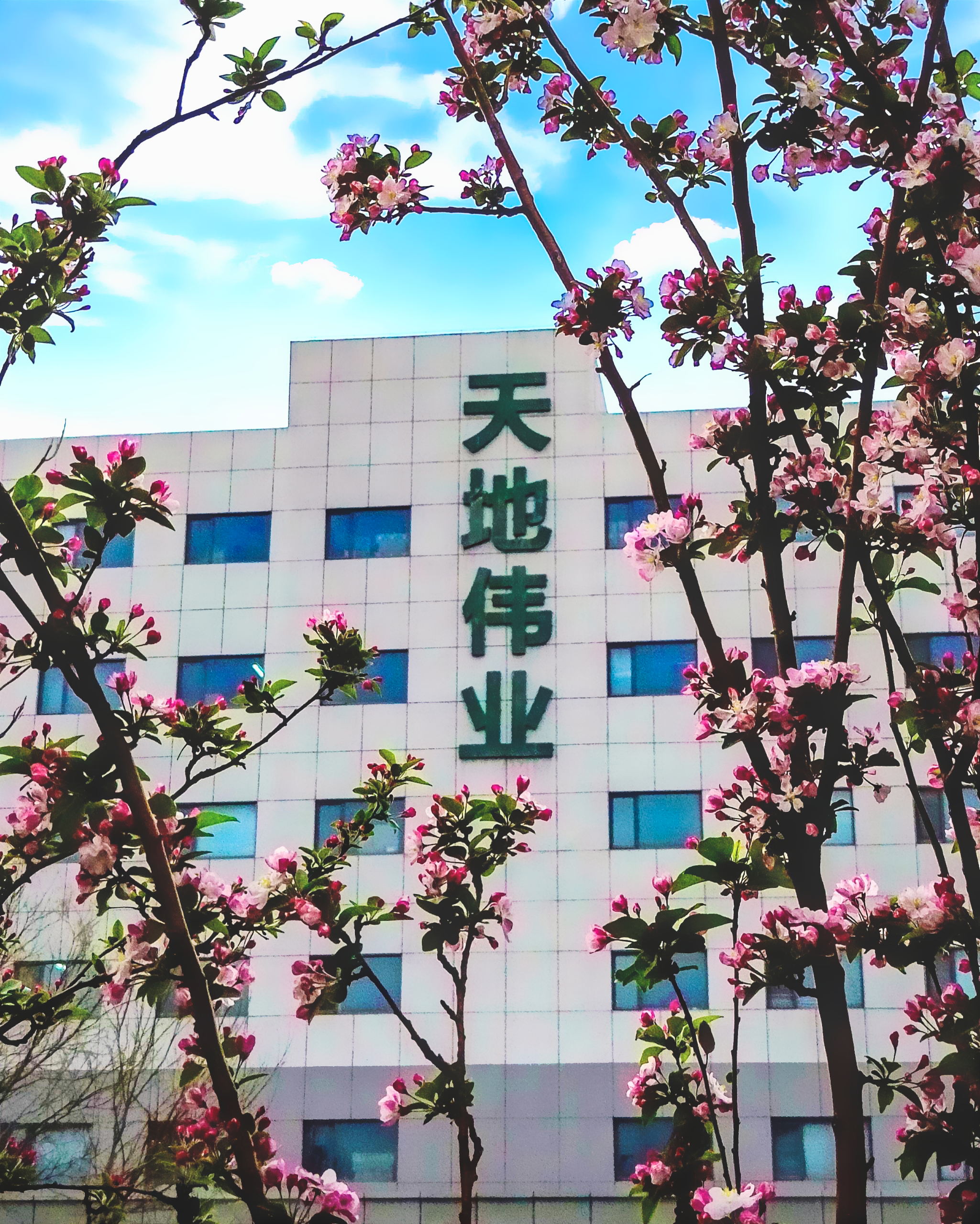 918博天堂(中国集团)官方网站