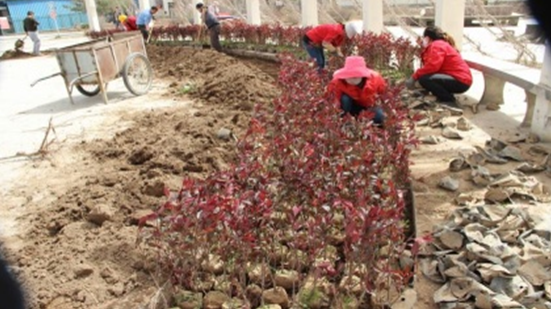 ŷ��(�й�)�ɷ����޹�˾����